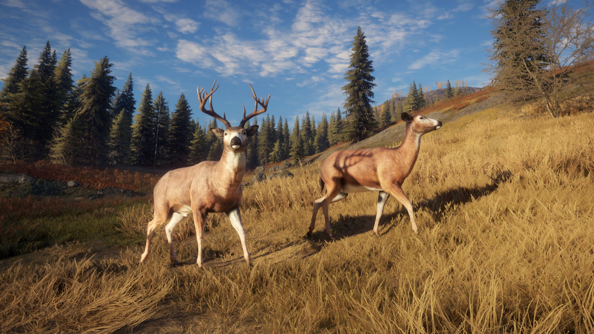 theHunter: Call of the Wild